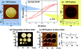 Graphical abstract: Magnetic domains in H-mediated Zn0.9Co0.1O microdisk arrays