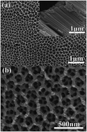 Graphical abstract: Electrochemically self-doped hierarchical TiO2 nanotube arrays for enhanced visible-light photoelectrochemical performance: an experimental and computational study