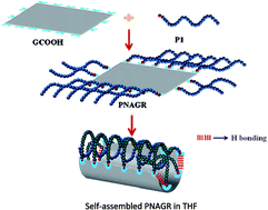 Graphical abstract: Unique nanotubes from polynorbornene derived graphene sheets