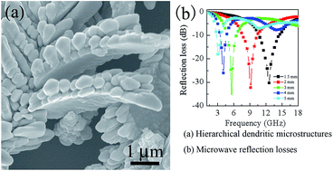 Graphical abstract: Synthesis of hierarchical cobalt dendrites based on nanoflake self-assembly and their microwave absorption properties