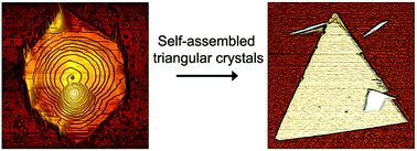 Graphical abstract: Self-assembled π-conjugated organic nanoplates: from hexagonal to triangular motifs