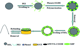 Graphical abstract: Surface molecularly imprinted electrochemical sensor for phenol based on SiO2 nanoparticles