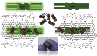 Graphical abstract: Mechanically strong, flexible and thermally stable graphene oxide/nanocellulosic films with enhanced dielectric properties