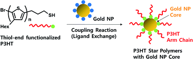 Graphical abstract: Controlled synthesis of multi-armed P3HT star polymers with gold nanoparticle core