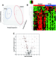 Graphical abstract: Targeted metabolomics of nonhuman primate serum after exposure to ionizing radiation: potential tools for high-throughput biodosimetry