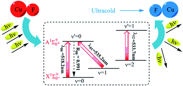 Graphical abstract: Laser cooling of copper monofluoride: a theoretical study including spin–orbit coupling