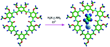 Graphical abstract: Ion-pair recognition of amidinium salts by partially hydrogen-bonded heteroditopic cyclo[6]aramide