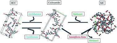 Graphical abstract: Crystal structure, thermal crystal form transformation, desolvation process and desolvation kinetics of two novel solvates of ciclesonide