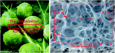 Graphical abstract: Nitrogen and sulfur self-doped porous carbon from brussel sprouts as electrode materials for high stable supercapacitors