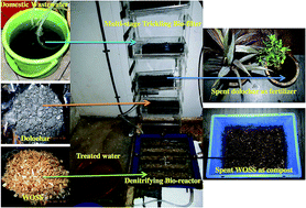 Graphical abstract: Development of an integrated system for the treatment of rural domestic wastewater: emphasis on nutrient removal