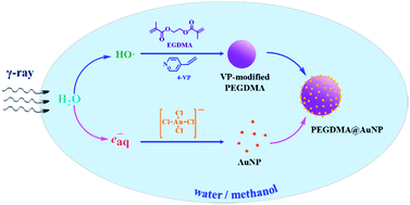Graphical abstract: One-step synthesis of poly(ethyleneglycol dimethacrylate)-microspheres-supported nano-Au catalyst in methanol–water solution under γ-ray radiation