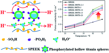 Graphical abstract: Enhanced proton conductivity of proton exchange membranes by incorporating phosphorylated hollow titania spheres