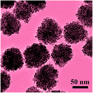Graphical abstract: Synthesis of sub-100 nm biocompatible superparamagnetic Fe3O4 colloidal nanocrystal clusters as contrast agents for magnetic resonance imaging