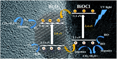 Graphical abstract: Fabrication and photocatalytic performances of BiOCl nanosheets modified with ultrafine Bi2O3 nanocrystals