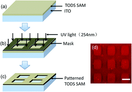 Graphical abstract: Supported lipid bilayer membrane arrays on micro-patterned ITO electrodes