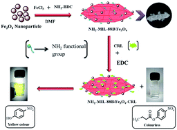 Graphical abstract: Fabrication of a magnetic nanoparticle embedded NH2-MIL-88B MOF hybrid for highly efficient covalent immobilization of lipase