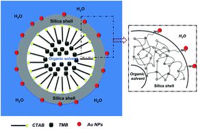 Graphical abstract: Hollow silica nanostructures with small size Au nanoparticles for catalytic applications