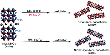 Graphical abstract: Controllable doping of nitrogen and tetravalent niobium affords yellow and black calcium niobate nanosheets for enhanced photocatalytic hydrogen evolution