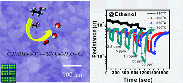 Graphical abstract: Nanoporous ZnO nanostructure synthesis by a facile method for superior sensitivity ethanol sensor applications