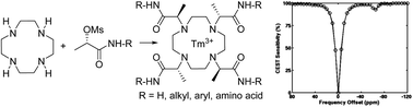 Graphical abstract: DOTMA-based amides (DOTMAMs) as a platform for the development of PARACEST MRI contrast agents