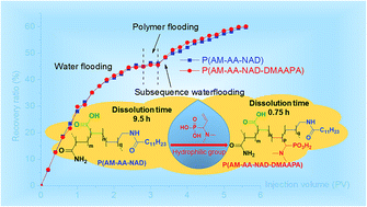 Graphical abstract: A novel α-aminophosphonic acid-modified acrylamide-based hydrophobic associating copolymer with superb water solubility for enhanced oil recovery