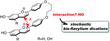 Graphical abstract: Synthesis and multistate characterization of bis-flavylium dications – symmetric resorcinol- and phloroglucinol-type derivatives as stochastic systems