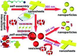 Graphical abstract: Pillar[7]arene-based host–guest complex in water: dual-responsiveness and application in controllable self-assembly