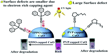 Graphical abstract: Studies on structural defects in bare, PVP capped and TPPO capped copper oxide nanoparticles by positron annihilation lifetime spectroscopy and their impact on photocatalytic degradation of rhodamine B