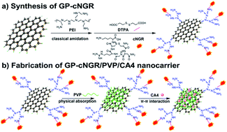 Graphical abstract: A tumor-targeting drug delivery system based on cyclic NGR-modified, combretastatin A4-loaded, functionalized graphene oxide nanosheets