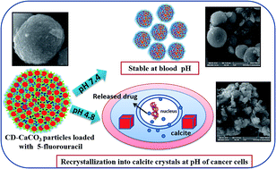 Graphical abstract: Cyclodextrin grafted calcium carbonate vaterite particles: efficient system for tailored release of hydrophobic anticancer or hormone drugs