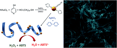 Graphical abstract: Gold nanoparticles/silver-bipyridine hybrid nanobelts with tuned peroxidase-like activity