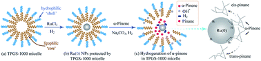 Graphical abstract: Selective hydrogenation of α-pinene to cis-pinane over Ru nanocatalysts in aqueous micellar nanoreactors