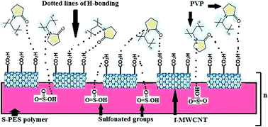Graphical abstract: Fabrication and evaluation of polymeric membranes for blood dialysis treatments using functionalized MWCNT based nanocomposite and sulphonated-PES