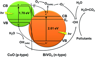 Graphical abstract: Mechanochemically synthesized CuO/m-BiVO4 composite with enhanced photoelectrochemical and photocatalytic properties