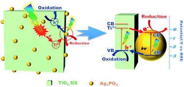 Graphical abstract: Fabrication of TiO2 nanosheets via Ti3+ doping and Ag3PO4 QD sensitization for highly efficient visible-light photocatalysis