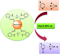 Graphical abstract: Renewable waste rice husk grafted oxo-vanadium catalyst for oxidation of tertiary amines to N-oxides