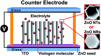 Graphical abstract: Methyl-viologen modified ZnO nanotubes for use in electrochromic devices