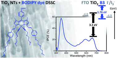 Graphical abstract: Characterization and charge transfer properties of organic BODIPY dyes integrated in TiO2 nanotube based dye-sensitized solar cells