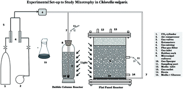 Graphical abstract: Rationally leveraging mixotrophic growth of microalgae in different photobioreactor configurations for reducing the carbon footprint of an algal biorefinery: a techno-economic perspective