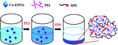 Graphical abstract: Elegant cooperativity of noncovalent interactions in effective removal of Cu–EDTA from water via stepwise addition of polymer and surfactant