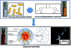 Graphical abstract: Self-assembly of synthetic liposome-like curcumin nanoparticles