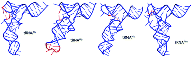 Graphical abstract: RNA model evaluation based on MD simulation of four tRNA analogs