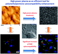 Graphical abstract: High power plasma as an efficient tool for polymethylpentene cytocompatibility enhancement