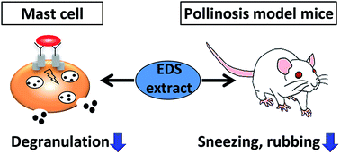 Graphical abstract: Inhibitory effects of enzyme-treated dried sardine extract on IgE-mediated degranulation of RBL-2H3 cells and a murine model of Japanese cedar pollinosis