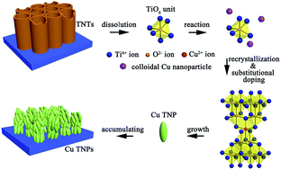 Graphical abstract: Simultaneous Cu doping and growth of TiO2 nanocrystalline array film as a glucose biosensor