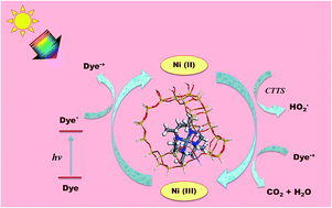 Graphical abstract: Combined experimental and theoretical investigations on the encapsulation of nickel(ii)tet-a complex in zeolite Y and its photocatalytic activity
