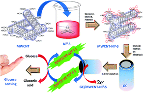 Graphical abstract: Non-enzymatic electrochemical sensing platform based on metal complex immobilized carbon nanotubes for glucose determination