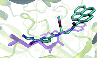 Graphical abstract: Guanidiniocarbonyl-pyrrole-aryl conjugates as inhibitors of human dipeptidyl peptidase III: combined experimental and computational study