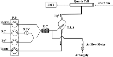Graphical abstract: Direct determination of total mercury in urine samples using flow injection catalytic cold vapor atomic absorption spectrometry (FI-CCV-AAS)