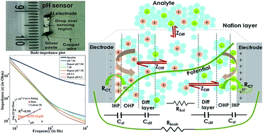 Graphical abstract: Impedimetric blood pH sensor based on MoS2–Nafion coated microelectrode